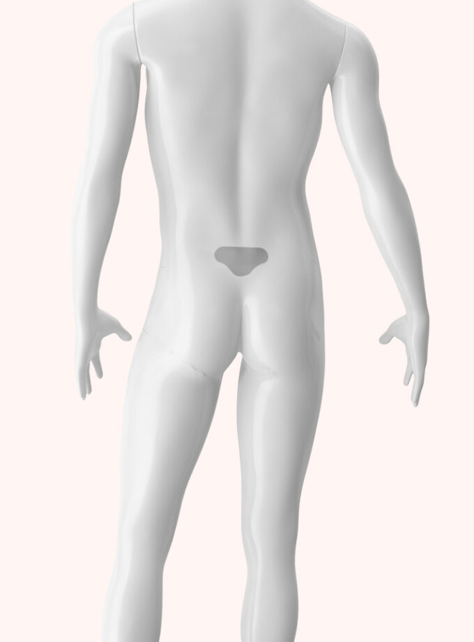 Lumbar